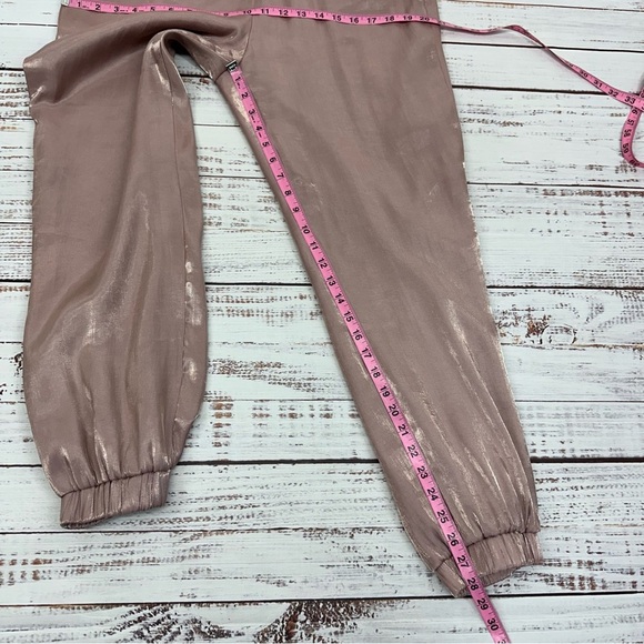 TCEC Women’s size Large Glimmering Pink Joggers - Picture 10 of 13